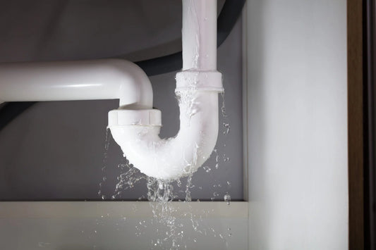 Water Leak Detection and Repair